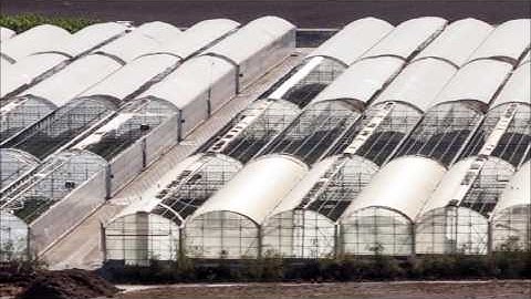 TIME SCALE: Earth applications - ion-sensors