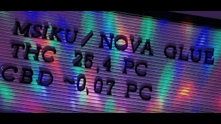 Msiku Nova Glue Review