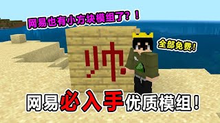 我的世界：网易必入手免费优质模组！我要在我家墙上刻满帅字！【Mag山山】