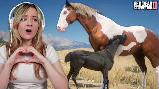 BREEDING REALISTIC HORSES! - Red Dead Redemption 2 (Evergreen Equine) | Pinehaven