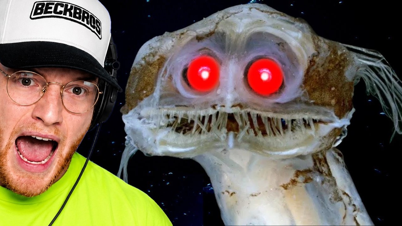 Reacting to the Most Disturbing Animals in the Deep Sea
