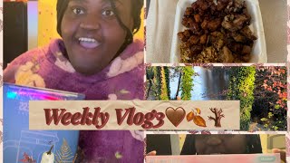 Weekly Vlog3