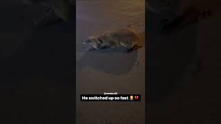 Loyalty Doesn’t Exist In The Streets #memes #fupage #foryou #funny #viral #gta #failgag #funnyvideos