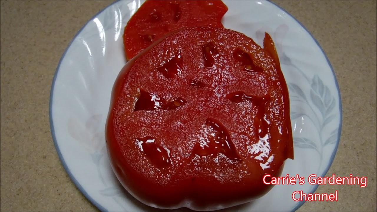 mountain fresh plus hybrid tomato review, mountain fresh plus hybrid