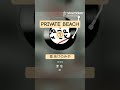 CharaさんのPRIVATE BEACHを歌ってみました その1  #歌ってみた #Chara #あけのみや