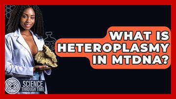 What Is Heteroplasmy In MtDNA? - Science Through Time