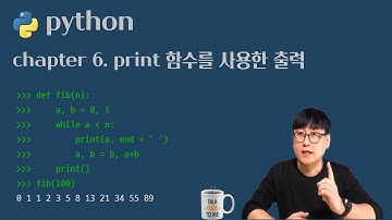 [파이썬] 06. print 함수를 사용한 출력