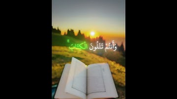 قرآن كريم #اكسبلور قران #الرحمن #المصحف #قران_كريم
