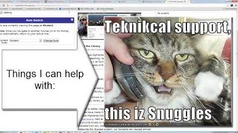 Embedded Librarian Into