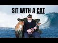 SIT WITH A CAT - International Cat Day Song