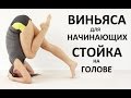 Виньяса йога для начинающих: перевернутые позы