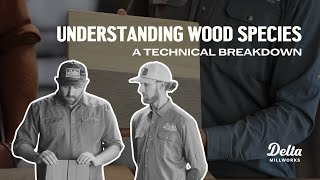 Understanding Wood Species: A Technical Breakdown