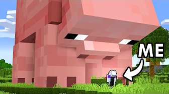 youtube recommendation