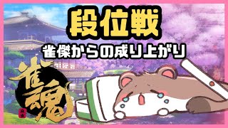 オコジョの成り上がり38　#雀魂　#段位戦