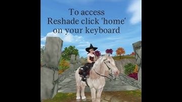 Small Reshade Tutorial! [For SSO]