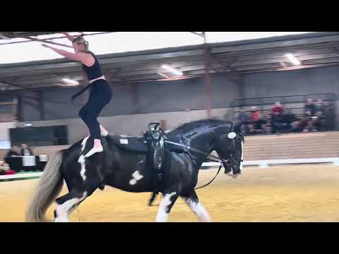 CVI3 Averill Saunders CAN Free Test 