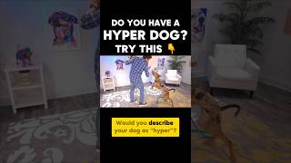 Do you have a “hyper” dog? Try this!!
