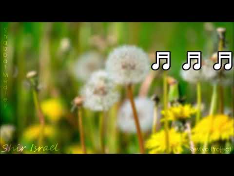 Shabbat Medley | מחרוזת שבת | Project Revivo | הפרויקט של רביבו