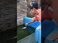 MATI! IKAN PENGHUNI KOLAM KACA JADI KORBAN EVAKUASI