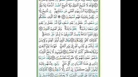 #سورة الروم#الآيات (59-60)تلاوة وأحكام آ. سمية#قليل دائم خير