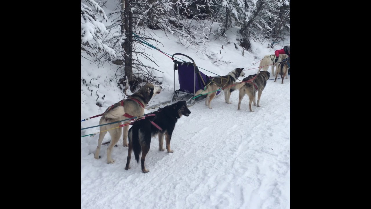 Sky High Ranch,Fish Lake