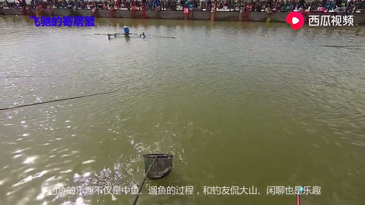 五一假期，连钓大鲤鱼，中鱼、遛鱼过足钓瘾！