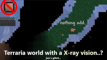 What happens if Terraria blocks all went invisible? ─ this shouldn