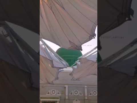 الشيخ جابر بغدادي يبدع في مدح سيدنا النبي ﷺ رسول الله بالروضة اتينا