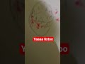@Edlyn-k3k #aprendiendoadibujar