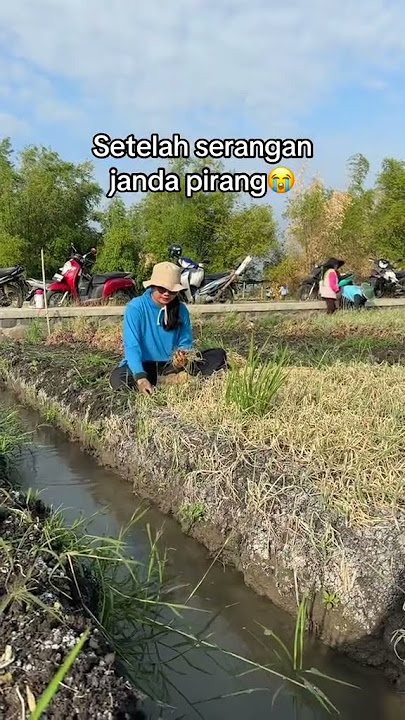 Piye komenmu lur😭😭 #butani #paktani #petani #petanicantik #petanimuda #petanimilenial #reels