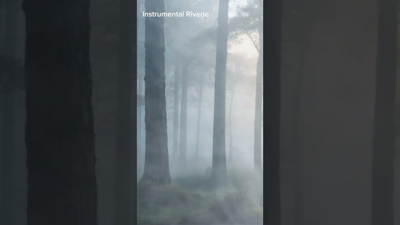 Melody of the Morning Mist 🌫️🎵 Relaxation Music