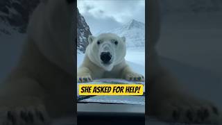 Een moeders noodkreet! 🐻‍❄️ #shorts