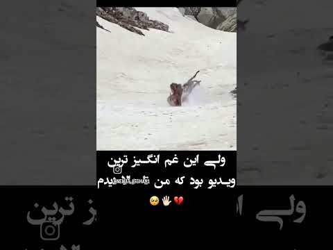 نان ب قیمت جان درایران خدایی گریه داره این فیلم ترفند