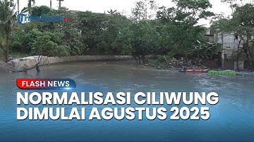 Pemprov DKI Pastikan Pembebasan Lahan untuk Normalisasi Ciliwung Dimulai Agustus 2025