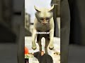 RAJA YANG TIDAK SUKA KUCING