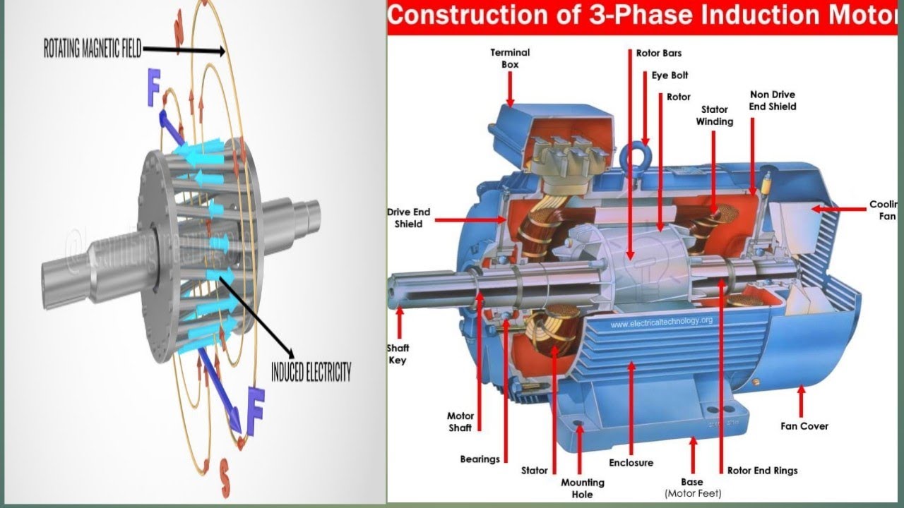 3 phase induction motor,3 phase induction motor MCQ ,induction motor working principal,