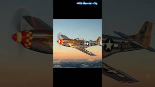 F-51 Mustang pasukan PBB #airforce #shortsviral #pesawattempur #shorts #sejarah