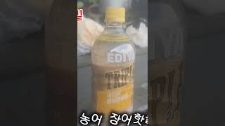 농어원투 핫플