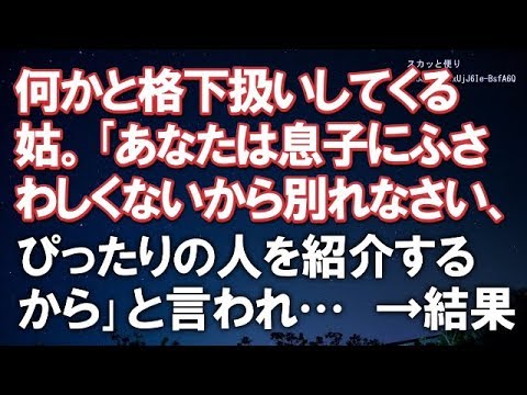 【スカッとする話】何かと格下扱いしてくる姑。｢あなたは息子にふさわしくないから別れなさい、ぴったりの人を紹介するから｣と言われ…結果ｗｗ【スカッと便り】