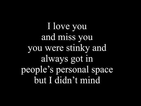 Dear Angelina