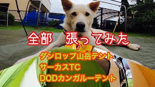 ダンロップ山岳テント買ったので　サーカスTCの中に設置