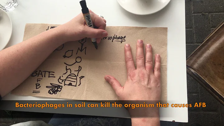 Science on a Napkin- Episode 9 - Heather Hendrickson