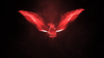 Free After Effects Intro Template #341 : Bird Logo Reveal Template for After Effects