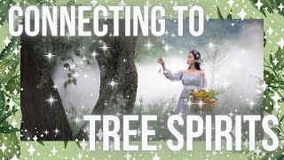 Tree Spirits║How to Connect