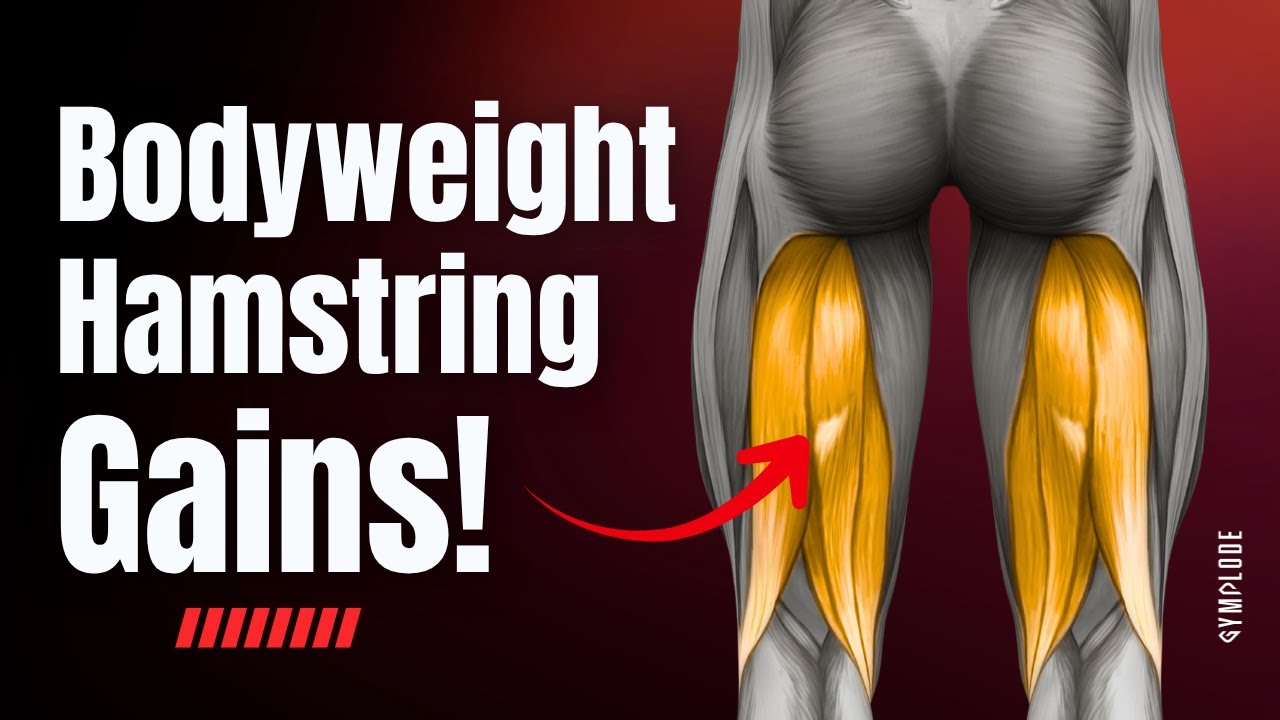 Beginner Friendly Hamstring Strengthening Exercises - YouTube