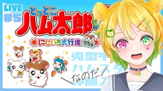 【少年Vがプレイする】とっとこハム太郎４ にじいろ大行進でちゅ ＊5【ゲーム配信 #ななはちななし 】