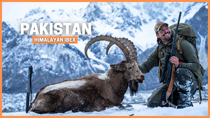 Hunting Himalayan Ibex in Pakistan’s Most Extreme Mountains.