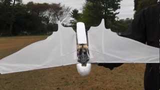 Butterfly 20-2 with Wing flapping amplitude change system : Test Flight 1