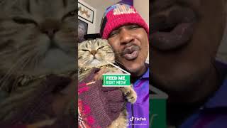 Iammoshow & Lil Parmesan - Cat Food Freestyle