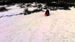 Img0646.Mov